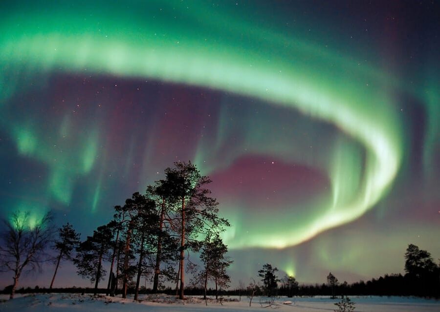 Northern Lights Hunting with Aurora Workshop - Watching the Sky for Real, Not Just Waiting