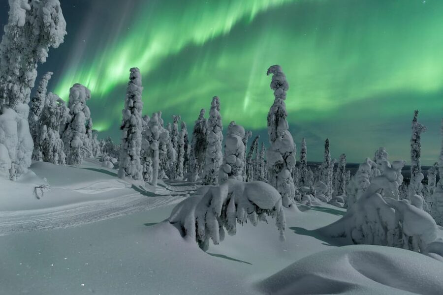 Northern Lights Hunting with Aurora Workshop - The Aurora Borealis Workshop, Science You Can Actually Use