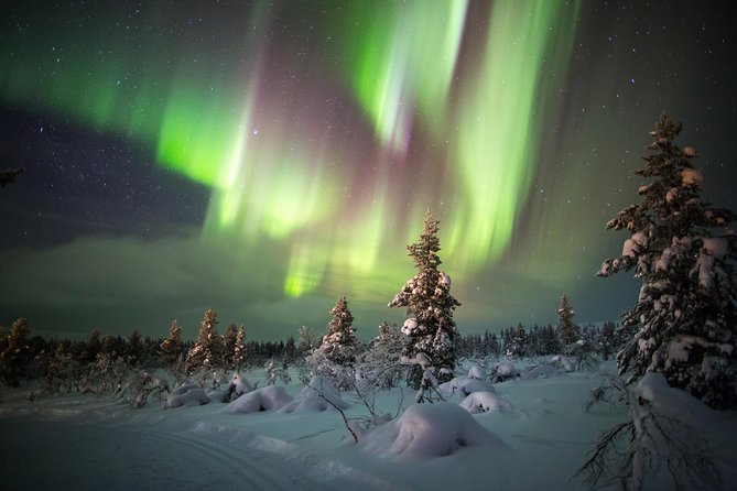 Northern Lights Hunting with Snowmobiles - Why snowmobiles make aurora hunting better in Rovaniemi