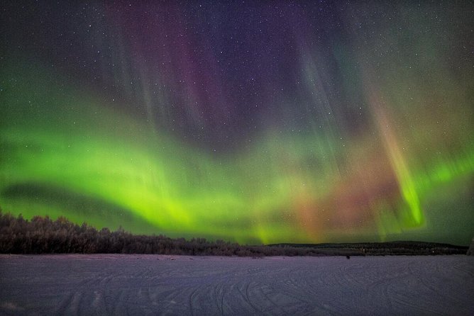 Northern Lights Hunting with Snowmobiles - The snowmobile safari part: quiet forest driving with real stops
