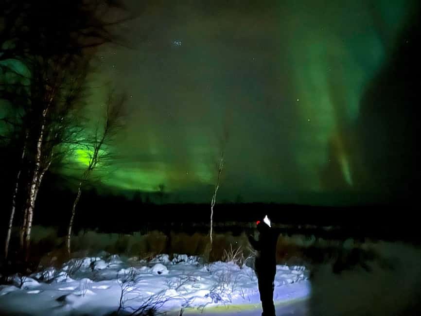 Northern lights private tour Rovaniemi - Rovaniemi after dark: why the driving strategy matters