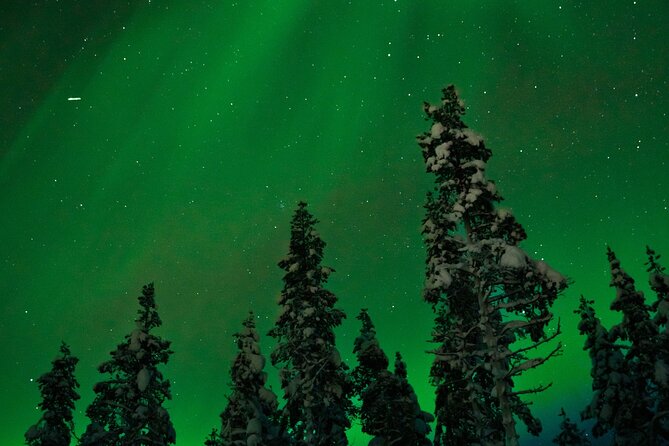 Northern lights Reindeer Sledge Ride - Arctic Night in Rovaniemi, With a Sleigh Ride Built In