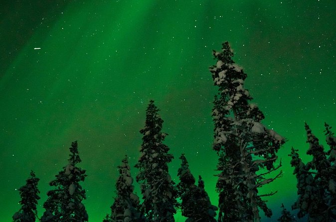 Northern lights Reindeer Sledge Ride - Sami Culture, Reindeer Talk, and Why the Guide Matters
