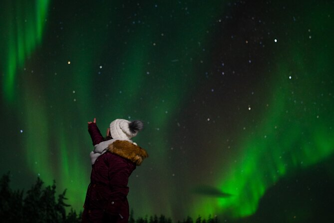 Northern Lights Reindeer Sledge Ride - The 20-Minute Reindeer Sledge Ride: What It Feels Like