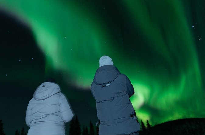 Northern Lights Rovaniemi: Guaranteed Tour with Local Guide - Pickup and the drive: door-to-door convenience in the dark