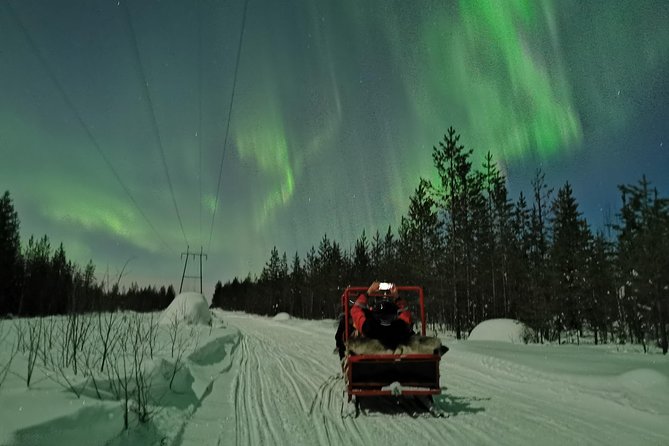 Northern Lights Sledge Ride - The Snowmobile Sledge Ride: Speed, Bumps, and What to Expect