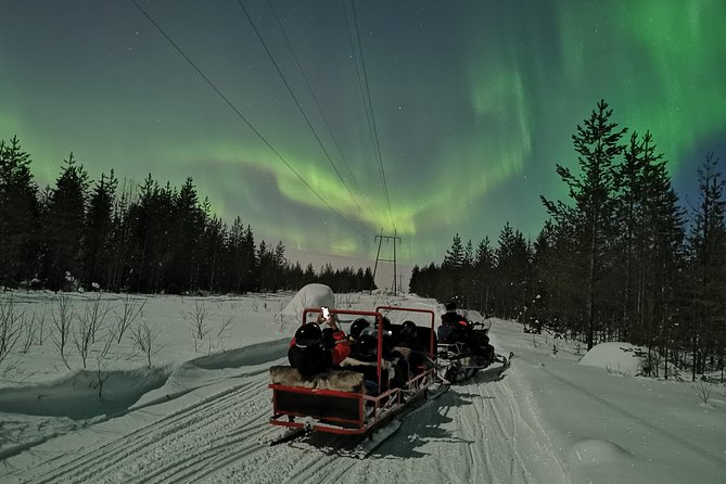 Northern Lights Sledge Ride - The Aurora Hunt: Weather Odds, Light Pollution, and Guide Magic