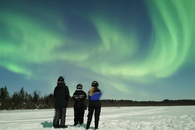 Northern Lights Sledge Ride - Warm-Up Moments: Blankets, Hot Drinks, and Campfire Stops