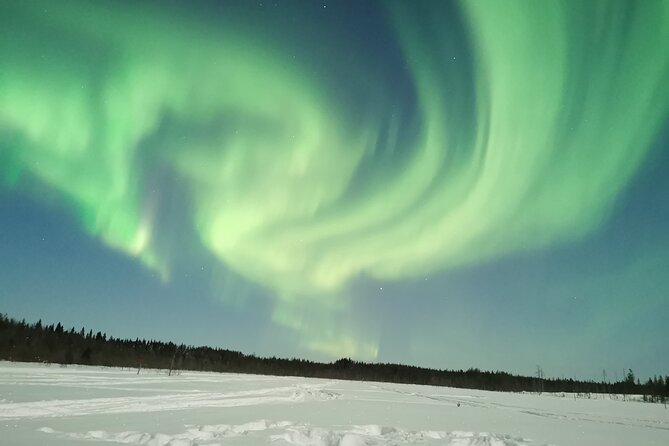 Northern Lights Sledge Ride - Group Size, English Guides, and Who This Fits Best