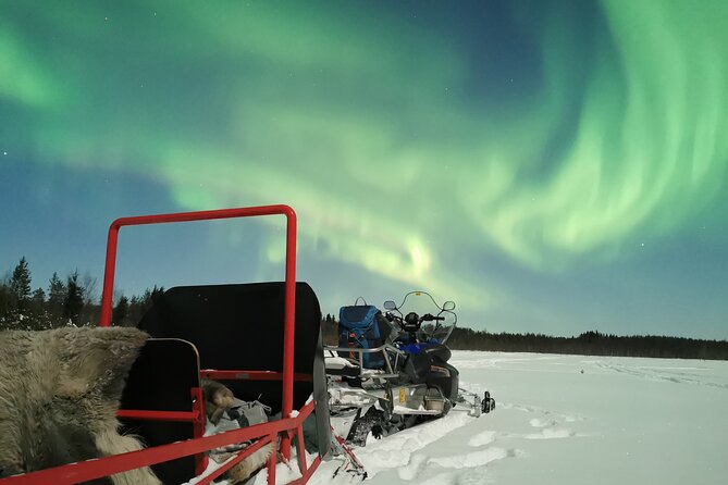 Northern Lights Sledge Ride - Price and Value at Around $92.52 Per Person