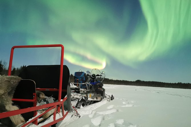 Northern Lights Sledge Ride - Check In at Koskikatu 8 or Santa Claus Village: Avoid the Last-Minute Panic
