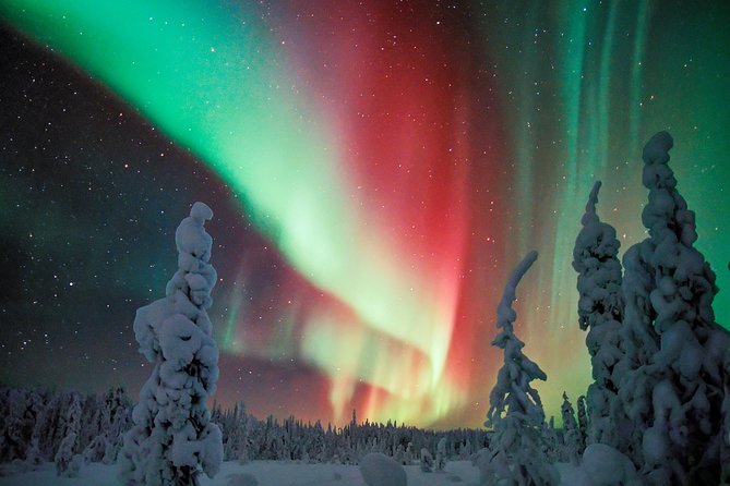 Northern Lights Snowmobile Driving Safari - Snowmobile Driving Over Rugged Terrain: How the Ride Works