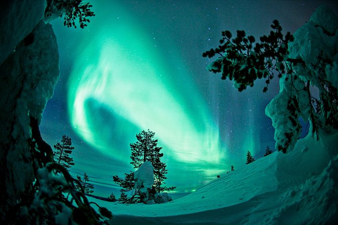 Northern Lights Snowmobile Driving Safari - Northern Lights Expectations: How to Handle Cloudy Nights