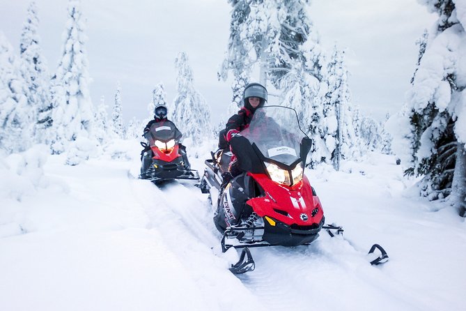 Northern Lights Snowmobile Driving Safari in Kemi - Group Size, Pickup Timing, and How to Avoid Common Frustration