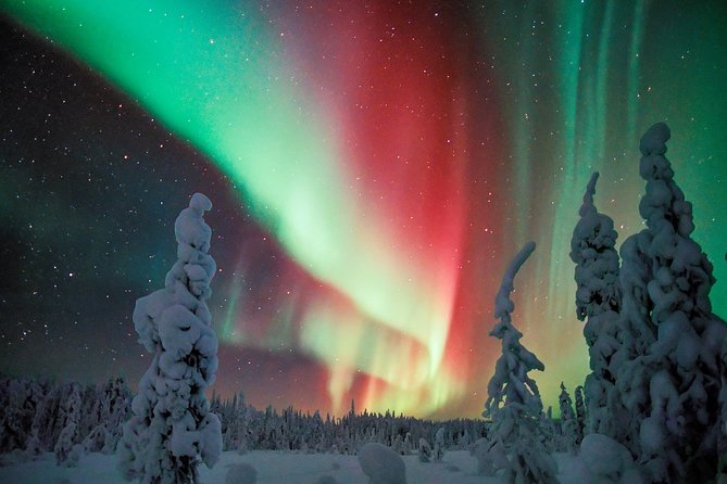 Northern Lights Snowmobile Driving Safari in Kemi - Getting Picked Up at Scandic Kemi and Kitted for Winter