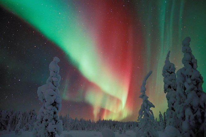 Northern Lights Snowmobile Safari from Rovaniemi with Campfire Picnic - The 20-30 km snowmobile ride: pace, scenery, and what to expect