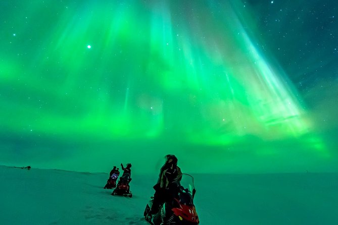 Northern Lights Snowmobile Safari from Rovaniemi with Campfire Picnic - Riding rules, licenses, and safety you should take seriously
