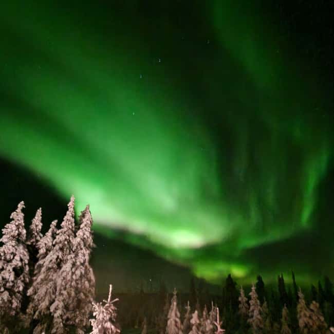 Northern Lights Snowshoe Hike in Levi with Latvian Guide - Key points you will care about in Levi’s winter night