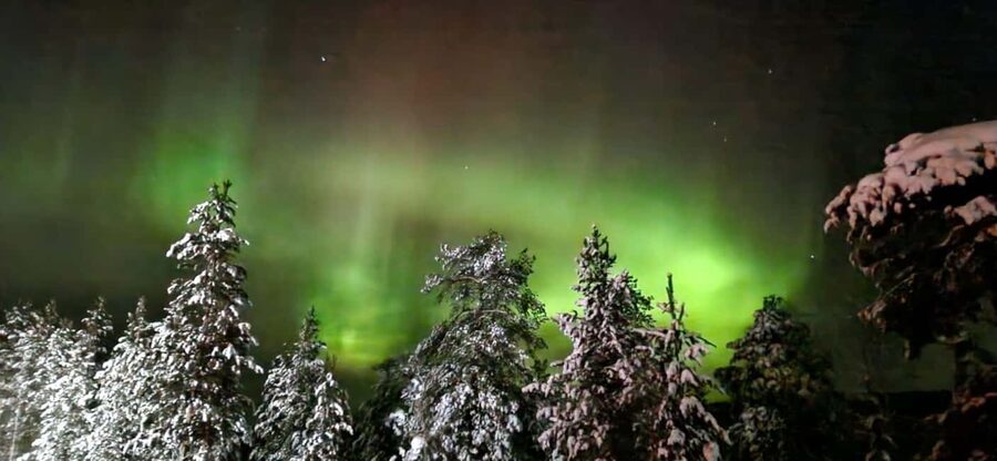 Northern Lights Snowshoe Hike in Levi with Latvian Guide - Stage by stage: a smooth 3-hour snowshoe rhythm