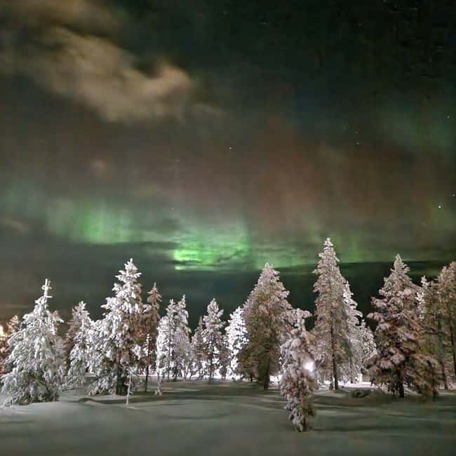 Northern Lights Snowshoe Hike in Levi with Latvian Guide - What you might see besides aurora: animals, birds, and moonlit skies