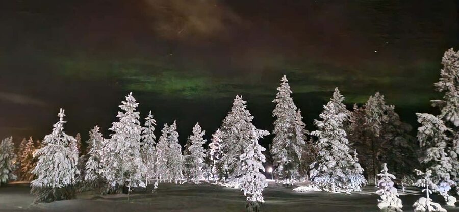 Northern Lights Snowshoe Hike in Levi with Latvian Guide - Price and value: what $116 per person buys you