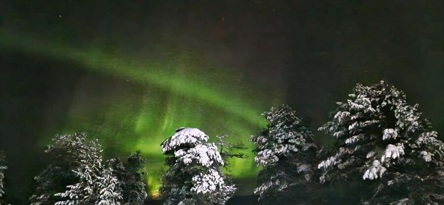 Northern Lights Snowshoe Hike in Levi with Latvian Guide - Meeting Myllyjoentie 2, then heading into the dark woods