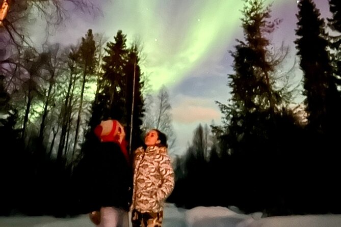 Northern Lights Tour At The Campfire - Northern Lights at 8:00 pm: The timing and vibe that matter