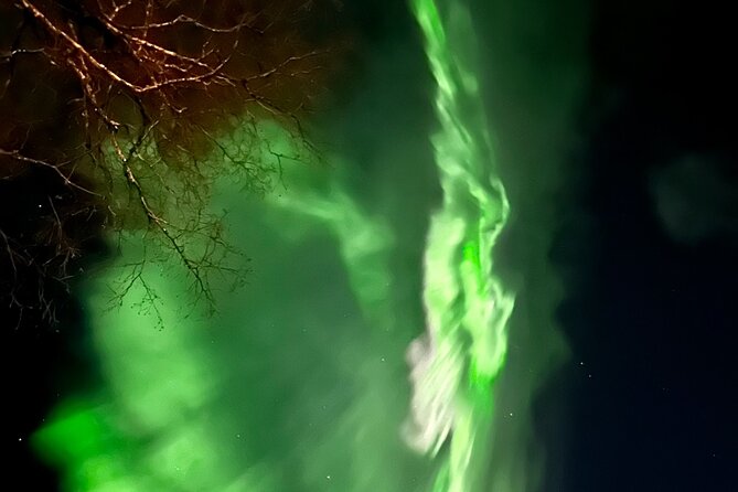 Northern Lights Tour At The Campfire - Price and value: what $131.35 buys you in the Arctic