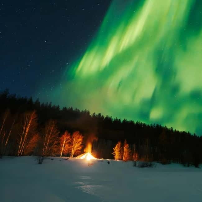 Northern Lights Tour Sleigh Ride - Key highlights worth centering your expectations on