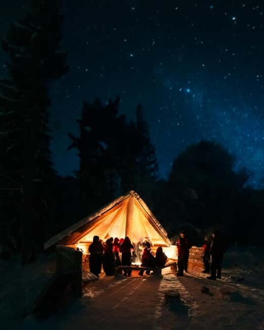 Northern Lights Tour Sleigh Ride - Why a sleigh ride in Lapland is more than a photo stop