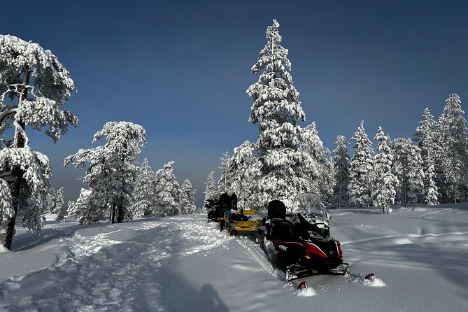 Northern Lights Tour Snowmobile Driving - Snowmobile Driving On A Marked Route: Fun, But Not Unlimited