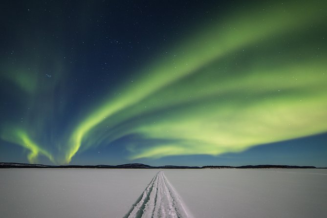 Northern lights tour to Lake Inari from Ivalo, Reindeers & Dinner - Key highlights worth getting excited about