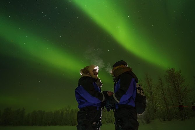 Northern lights tour to Lake Inari from Ivalo, Reindeers & Dinner - Dinner in a Lappish teepee: reindeer or salmon, hot blackberry juice