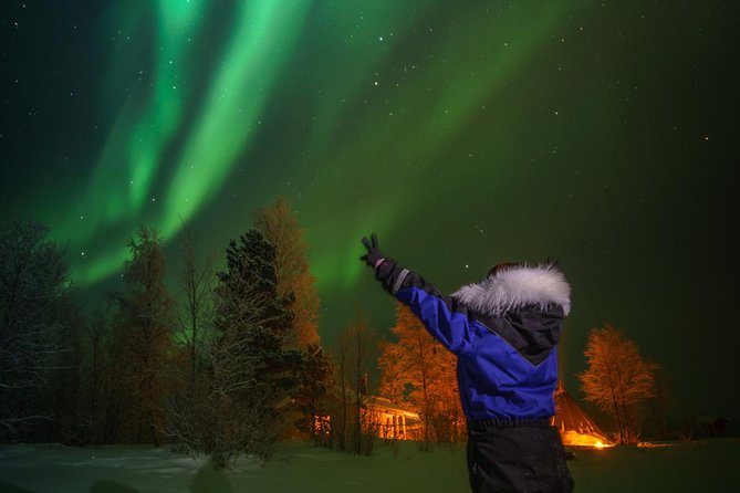 Northern lights tour to Lake Inari from Ivalo, Reindeers & Dinner - Koppelo, the frozen lake break, and the island for aurora chances