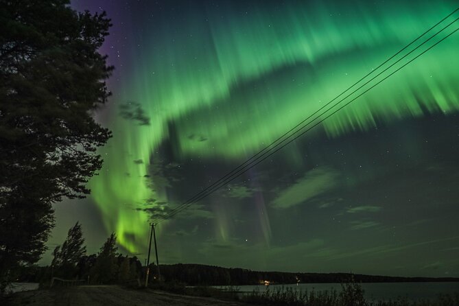 Northern Lights Tour with BBQ and drinks - The 3-hour Aurora Hunt: Waiting well in the Arctic night