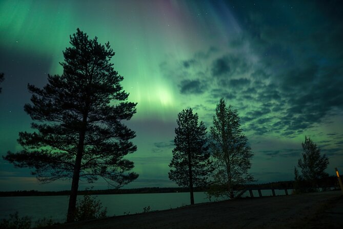 Northern Lights Tour with BBQ and drinks - Group size, comfort, and the minivan ride