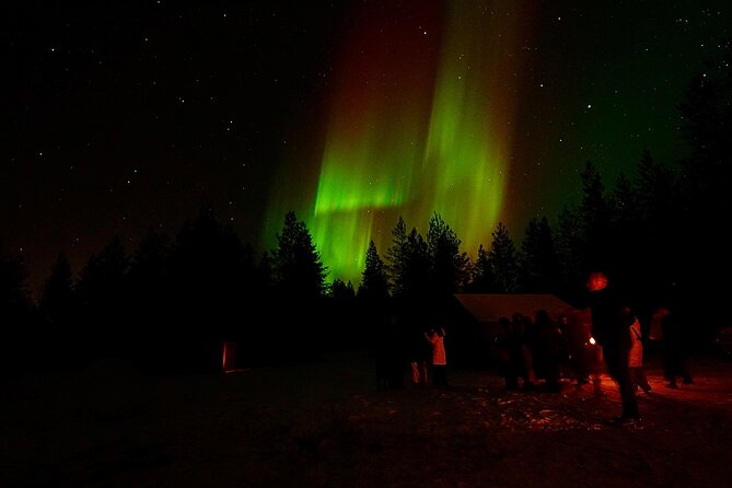 Northern Lights Trip to a Magical Place in Lapland - What the best nights feel like, based on real on-the-ground details