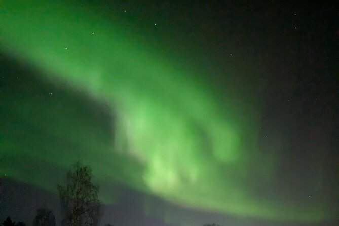 Northern Lights Walk to Old Kemi with BBQ and Arctic Views - Key highlights that matter