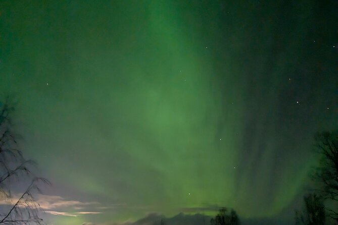 Northern Lights Walk to Old Kemi with BBQ and Arctic Views - Why the Frozen-Sea Route Feels So Special