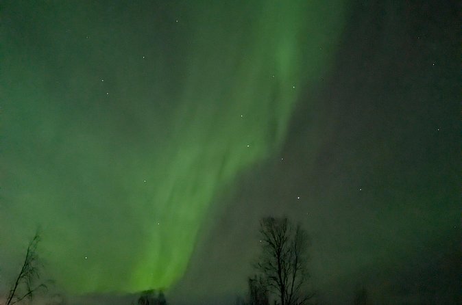 Northern Lights Walk to Old Kemi with BBQ and Arctic Views - Laitakari Island and the Ruins of Old Kemi