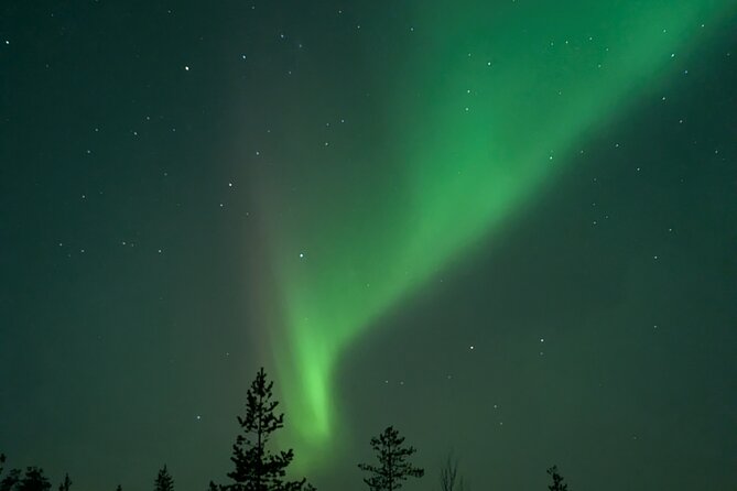 Northern Lights Walk to Old Kemi with BBQ and Arctic Views - Campfire Shelter, BBQ, Hot Berry Juice, and Staying Comfortable
