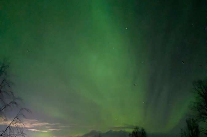 Northern Lights Walk to Old Kemi with BBQ and Arctic Views - Logistics That Help You Have a Good Night