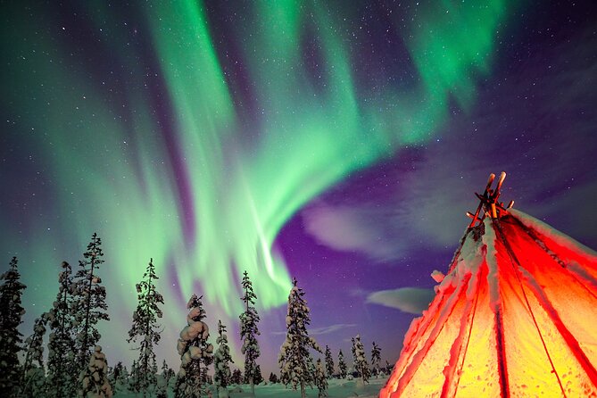 Northern Lights Wilderness Small-Group Tour from Rovaniemi - Key things I’d pay attention to