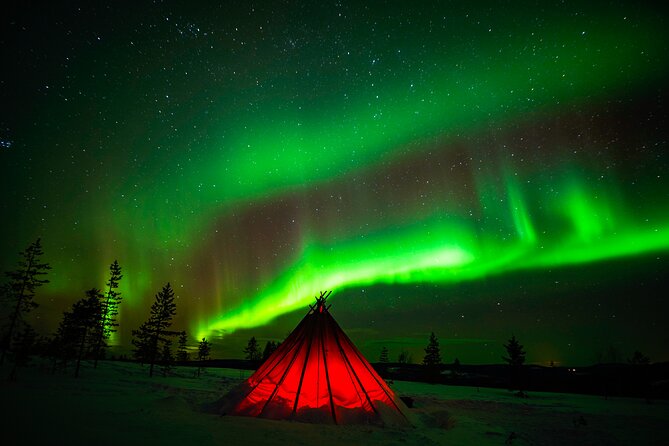 Northern Lights Wilderness Small-Group Tour from Rovaniemi - The Aurora hunt method: 1 to 3 locations and a guide who watches everything
