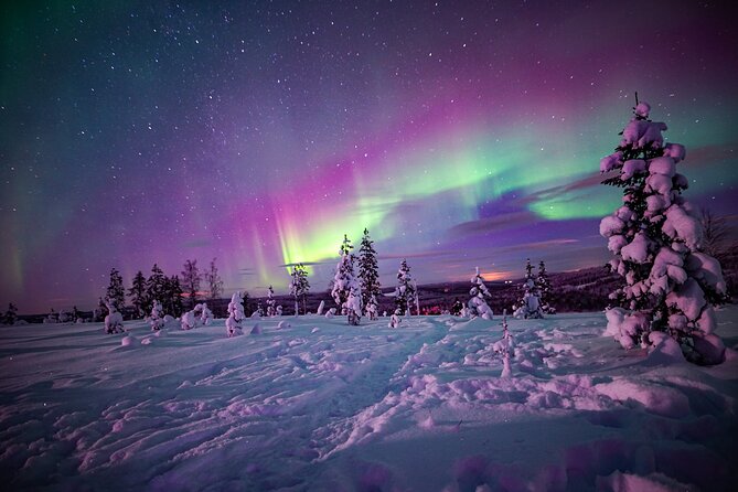 Northern Lights Wilderness Small-Group Tour from Rovaniemi - Stop time in the Lapland wilderness: beyond the sky