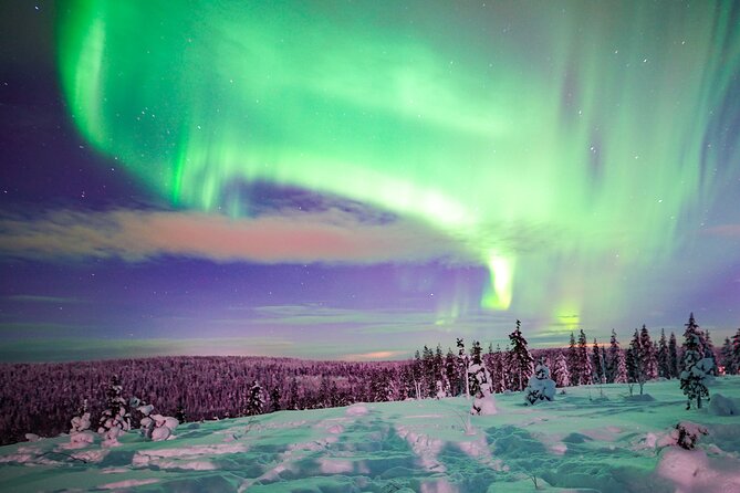 Northern Lights Wilderness Small-Group Tour from Rovaniemi - Small group logistics in the van: intimate, but it still gets cold