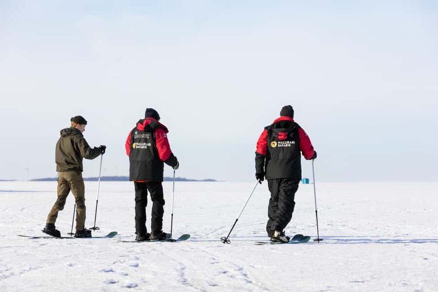 Oulu: Arctic Sea Snowshoe Experience - What your guide teaches you about the frozen sea of Oulu
