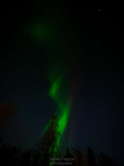 Oulu: Guided Night Walking Tour with Northern Lights Hunting - Nallikari beach time, frozen sea walking, and the lighthouse moment