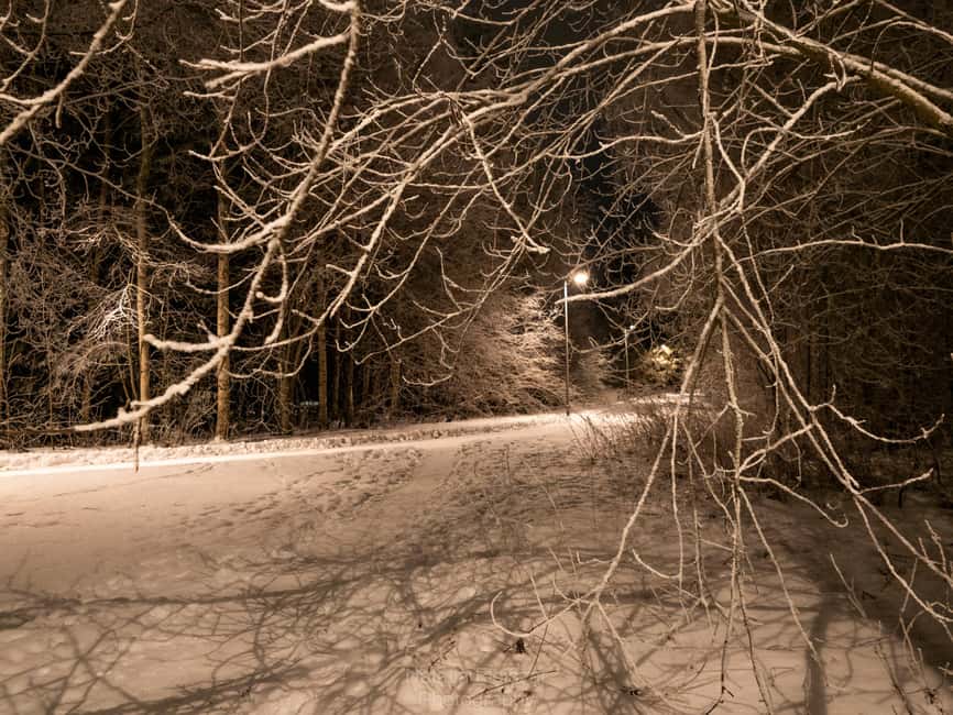 Oulu: Guided Night Walking Tour with Northern Lights Hunting - How the $94 price stacks up for value