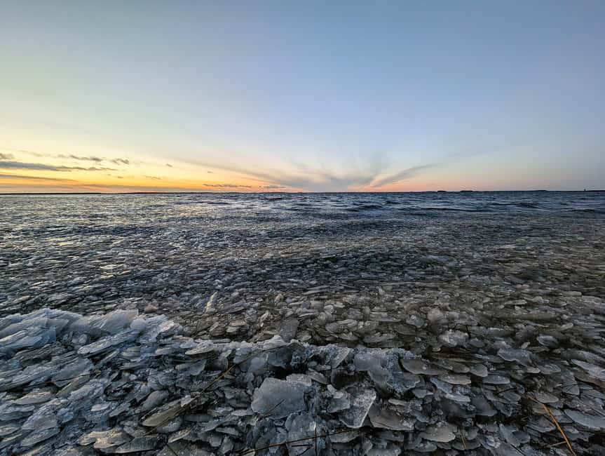 Oulu: Hietasaari Wildlife Hike with Nature Guide All Seasons - Seasonal highlights: what you might see in winter, spring, summer, and autumn